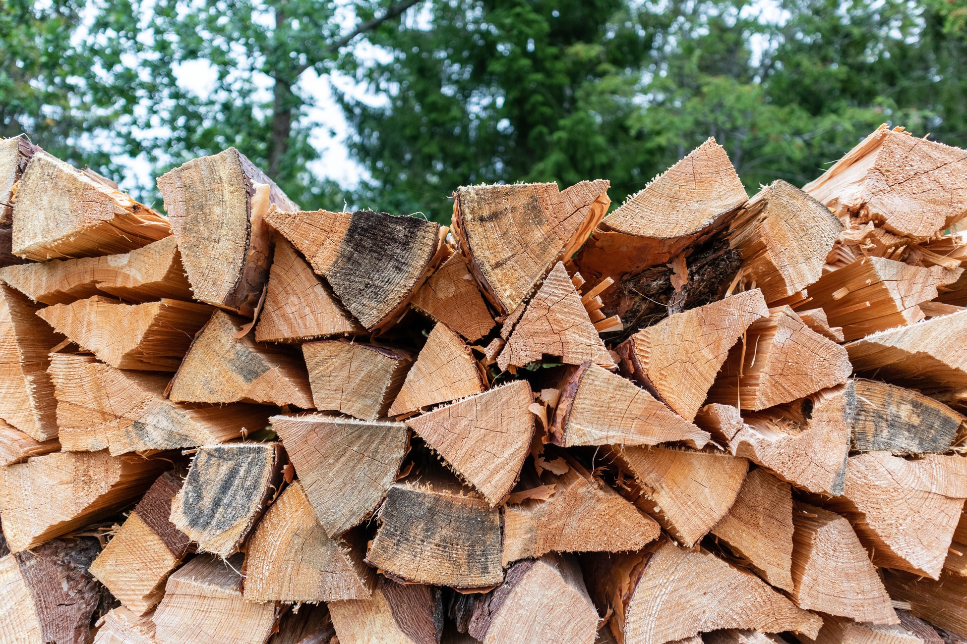 Choosing Firewood