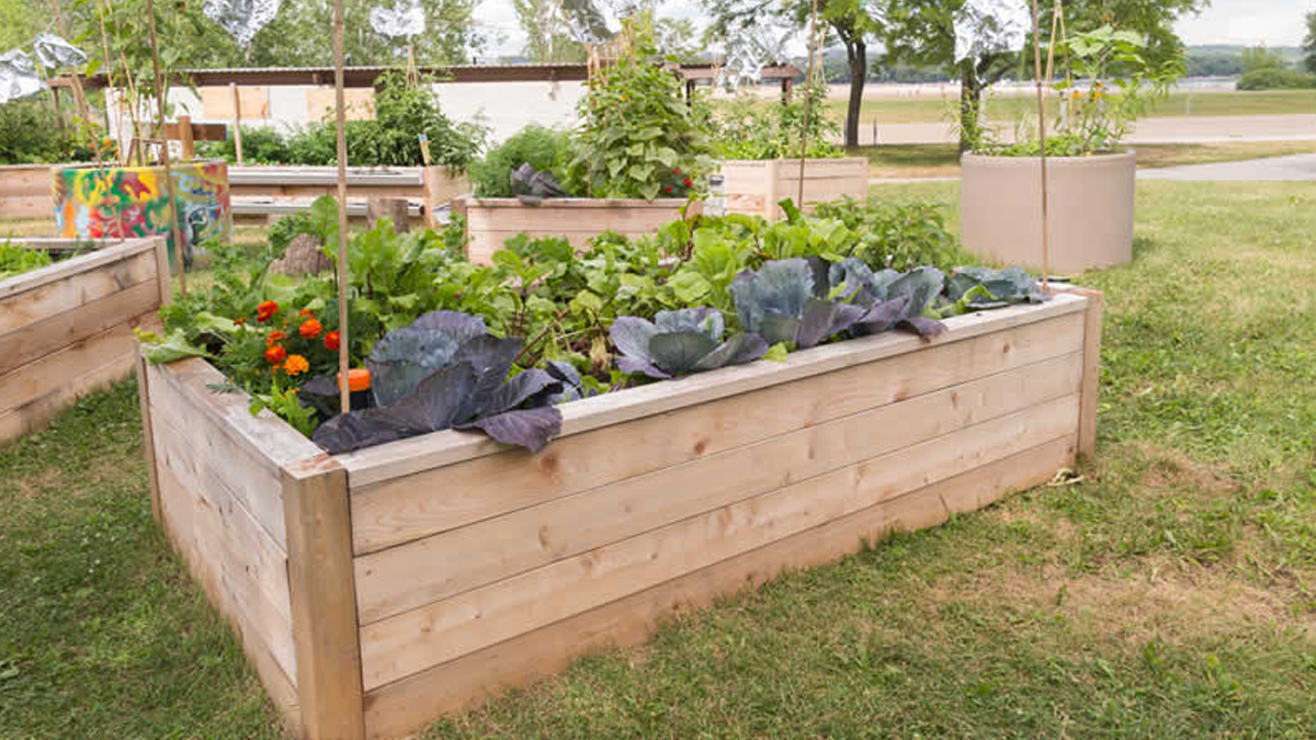 The ultimate raised garden bed? - Survival Jack