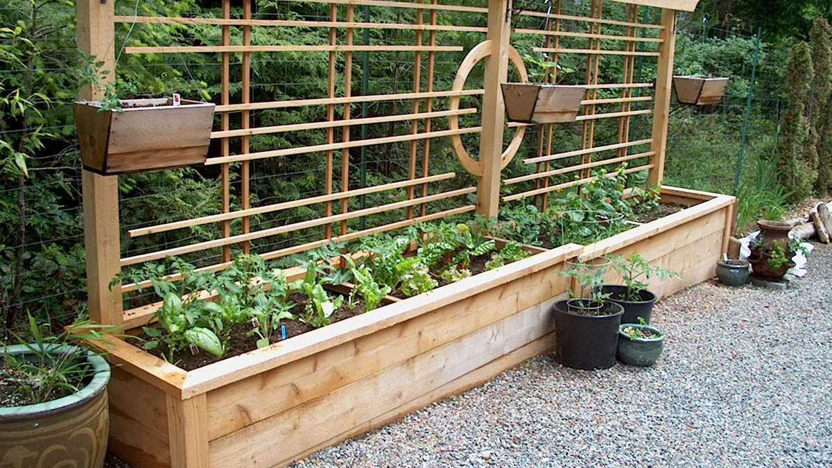 Benefits of raised garden beds - Survival Jack