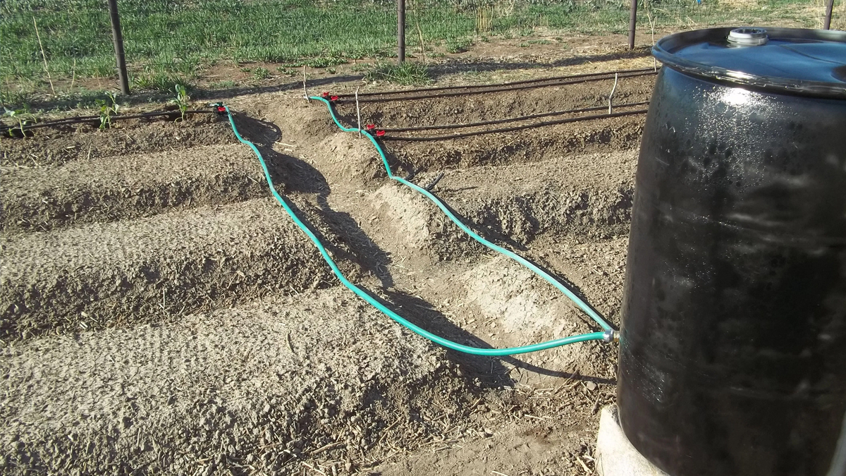 Gravity Drip Irrigation Systems