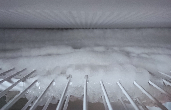 inside a freezer