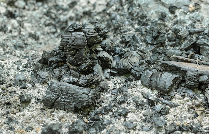 ashen embers from a fire