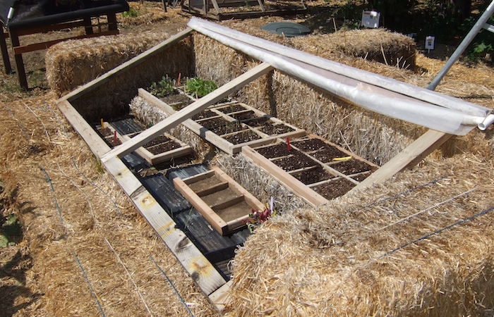 cold-frame garden made of hay, wood frames and polyethylene film