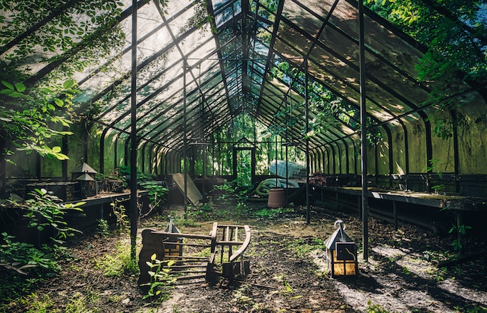 abandoned, messy greenhouse