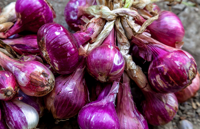 red onions in a bunch