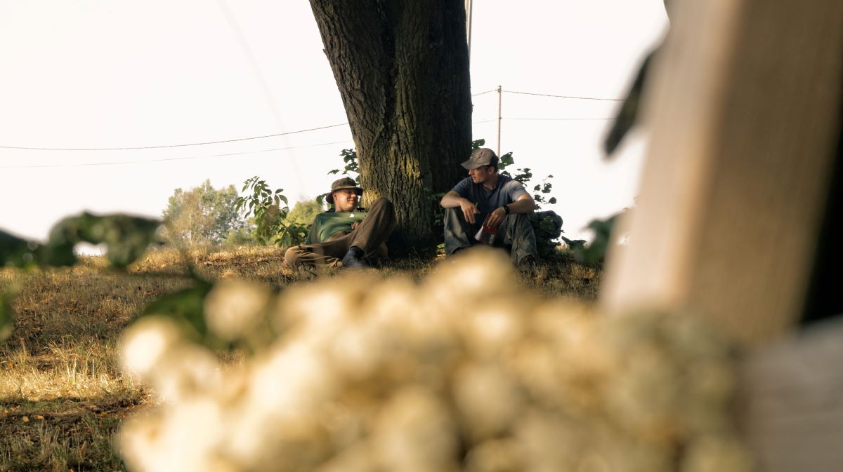 two survivalists resting by a tree