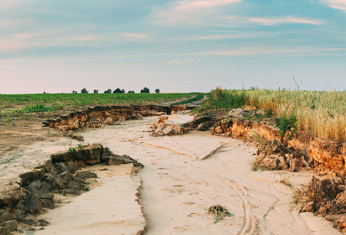 farm field eroding into dirt
