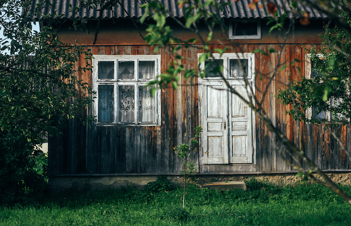 old abandoned home surrounded by an orchard
