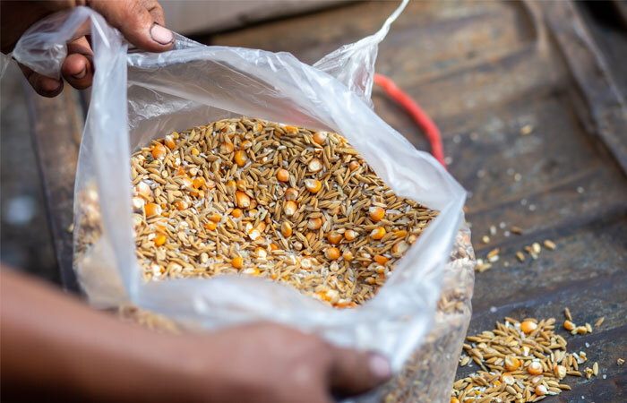 bird feed in a bag