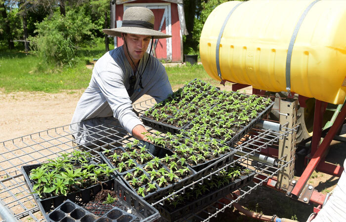 farmer setting plants on a shelf