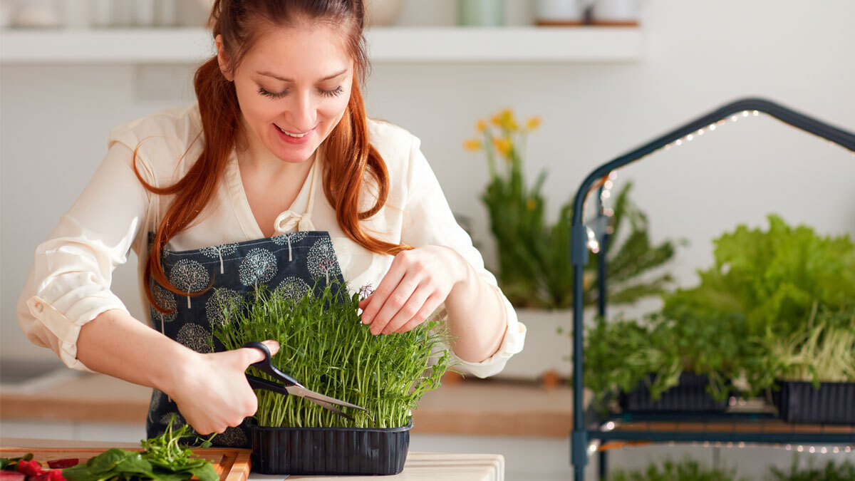 woman placing a plant in a pot inside a house