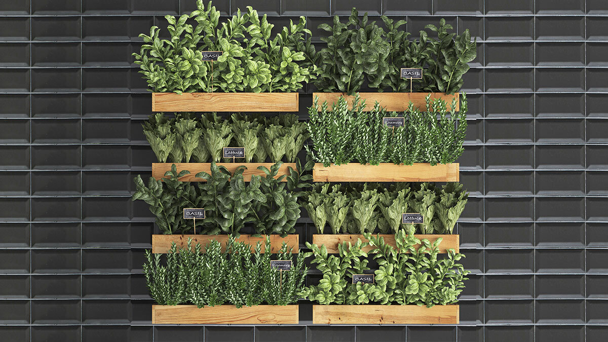 Growing Up-Vertical Gardening Wall_Garden