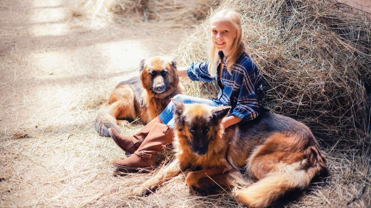 Blonde girl with two dogs sitting in the hay.