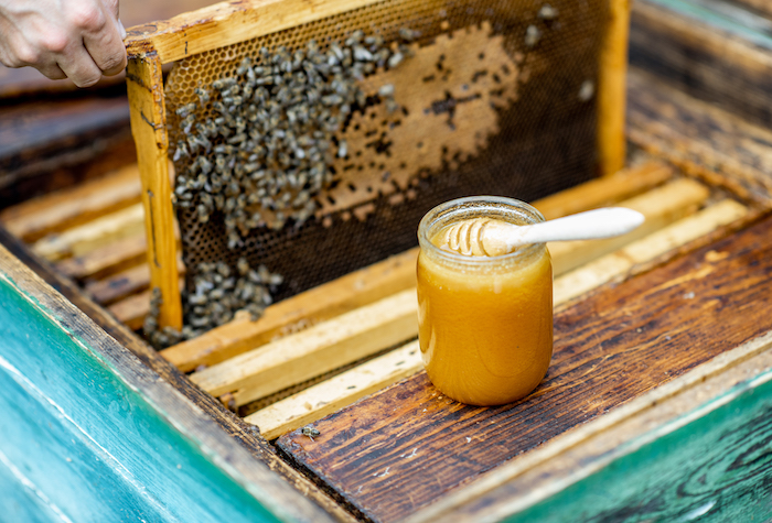 Person pulling beehive from box with a jar of honey next to it.