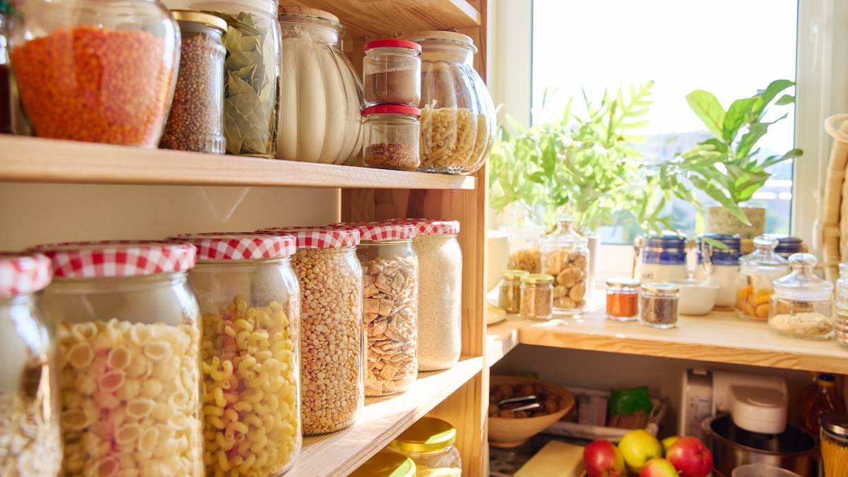 Jars of food, plants, and kitchen equipment stored on shelves in a pantry.