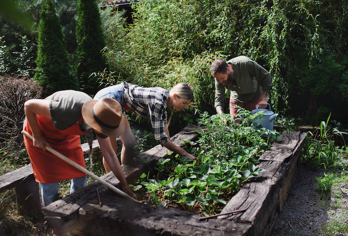 Three people working with garden tools outdoors at a community farm.