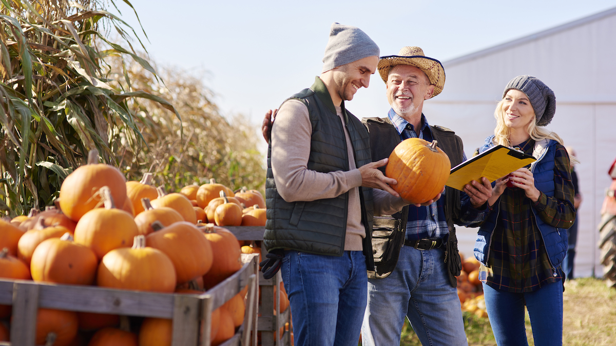 Farmers standing next to large bins of pumpkins and holding one.