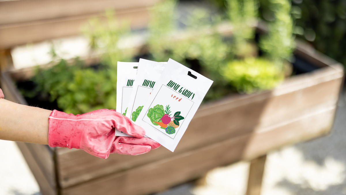 Woman holding vegetable seeds in paper packets in her garden.