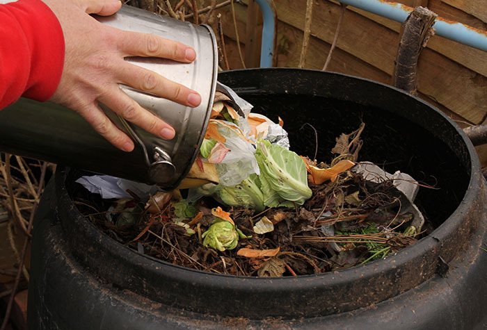 Person adding veggies to their compost pile. 