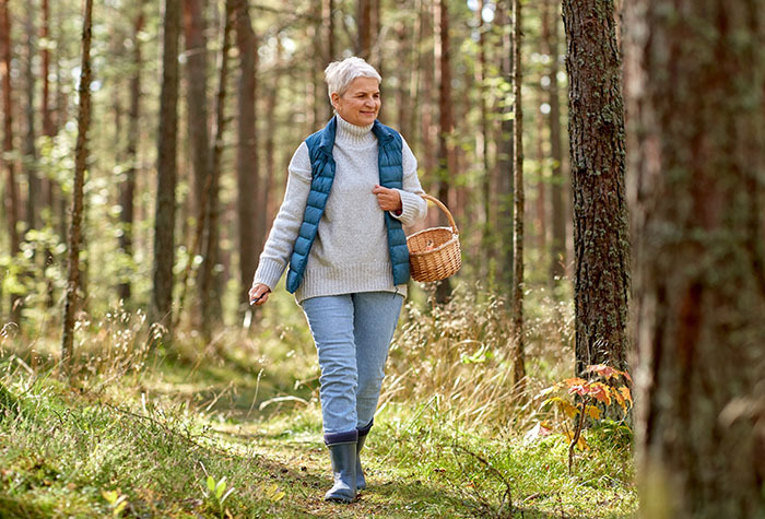 An older woman walking down a path in a forest carrying a basket looking for plants to forage. 