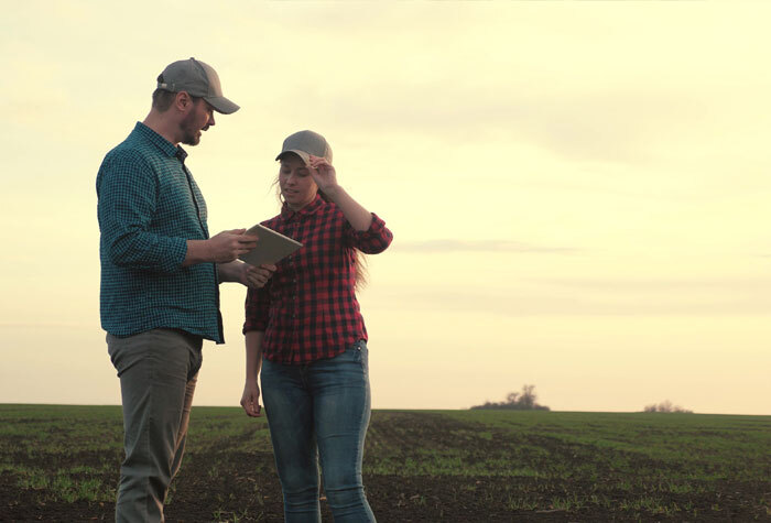 A homesteader teaching another homesteader out in the fields.