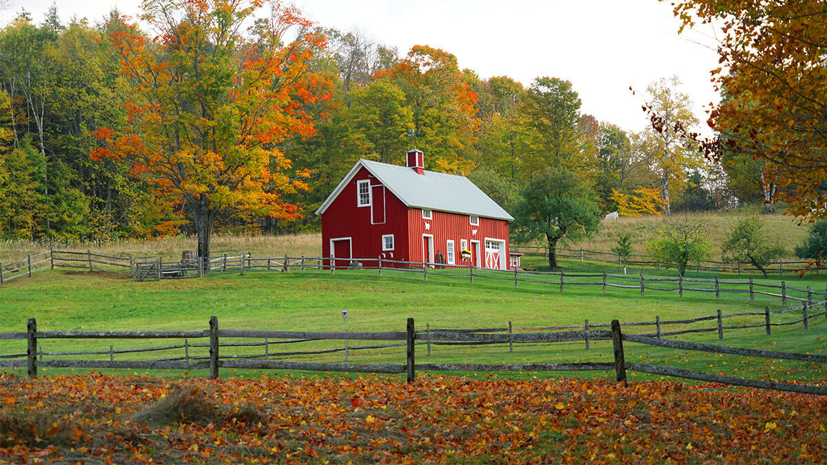 A barn on a farm in the middle of autumn.