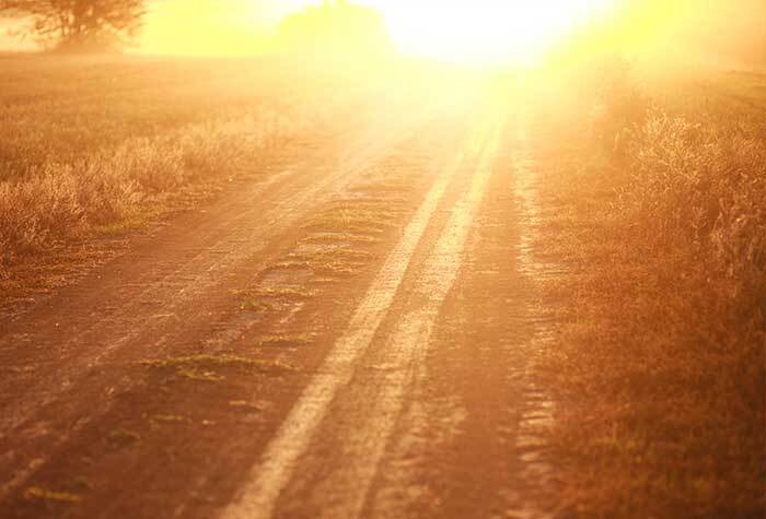 The sun beating down on a field in a rural area.