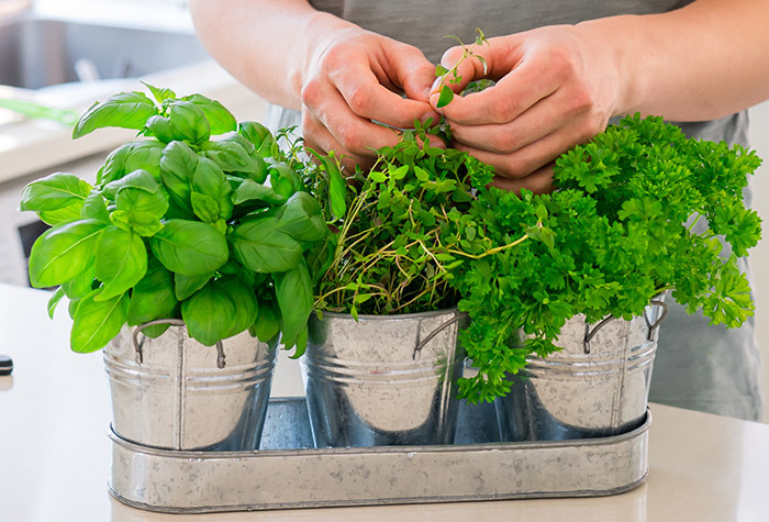 Someone plucking herbs from their counter herb garden.