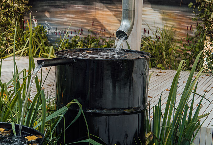 A rain barrel collecting water from a downspout.