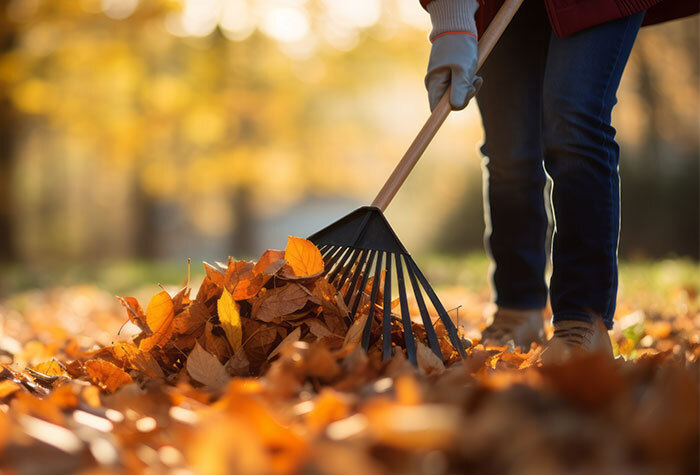 A person raking their autumn leaves to put into their compost bin.