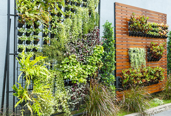 A vertical garden to save space in the yard.