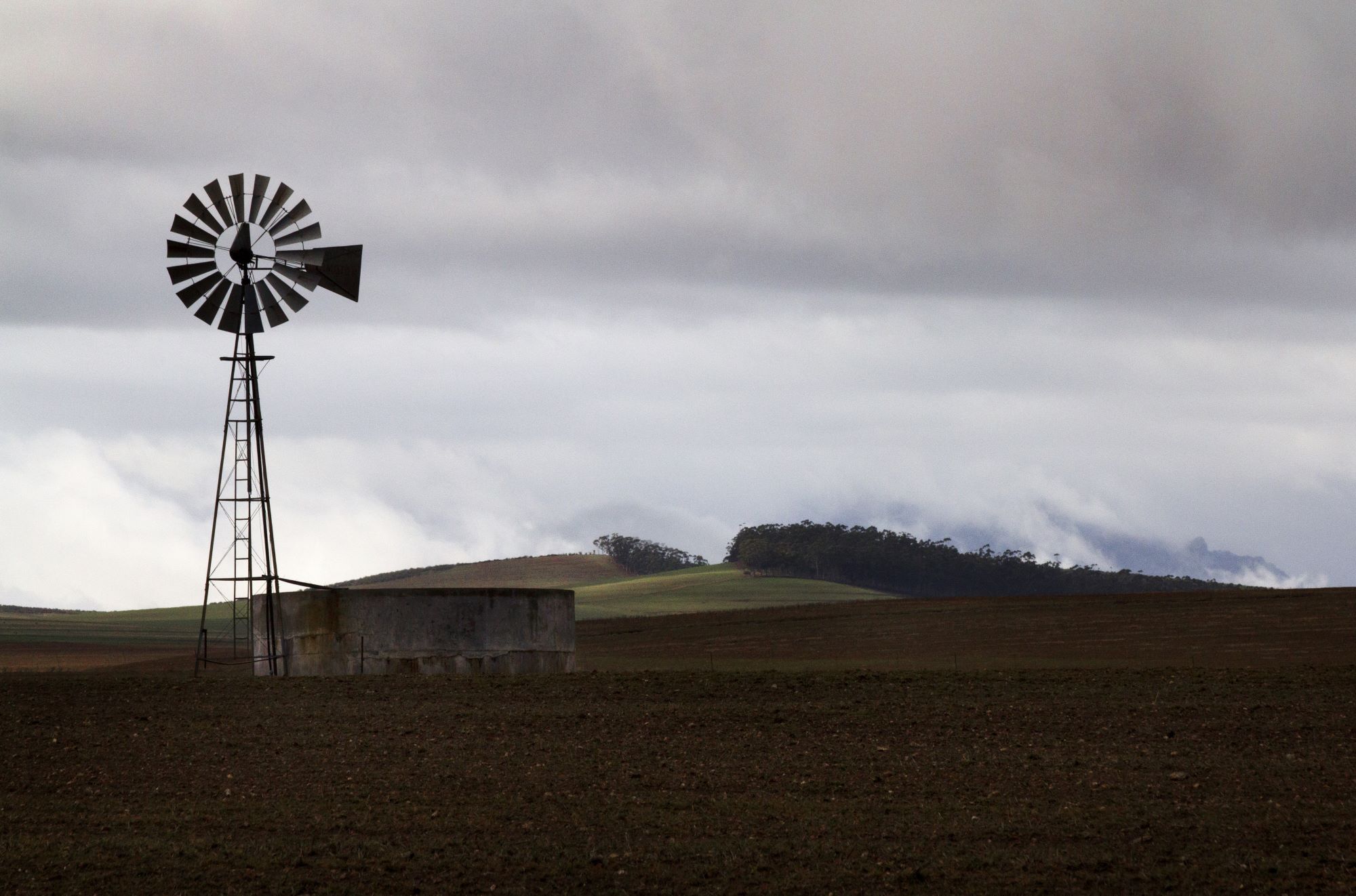 A beautiful shot of an agricultural field with a windmill.